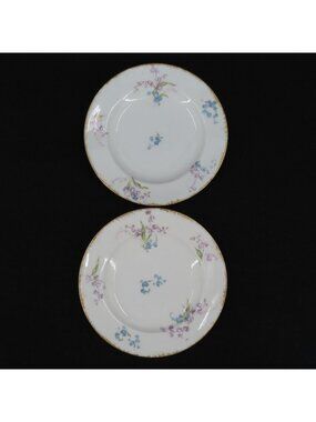 Theodore Haviland Limoges Set 2 Plates 6.25in France Purple Blue Floral Flower